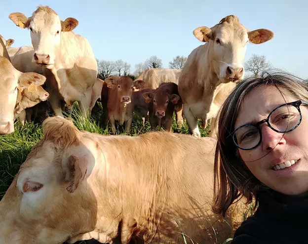eleveur bovin à Talmont-Saint-Hilaire près des Sables d'Olonnes en Vendée 85
